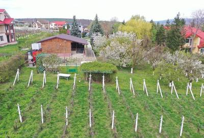 Spațiu comercial, în Central - 2