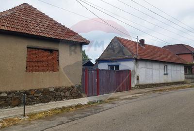 Casa traditionla de vanzare Marca / Salaj - 3