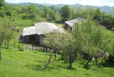 Teren în Toculești - 4