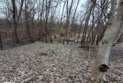 Casă cu 4 camere în Preajba - 14