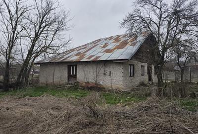 Casă cu 4 camere cu Teren 1700 Mp în Băbăița - 4