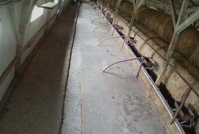 Dorohoi, Botosani Dorohoi, Botosani - 9