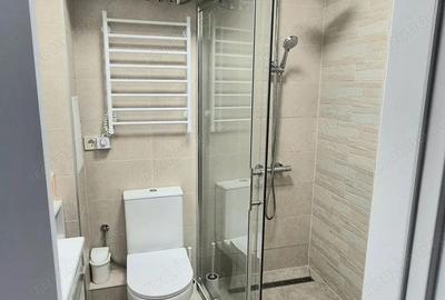 Garsoniera in zona Piata Victoriei Garsoniera in zona Piata Victoriei - 3