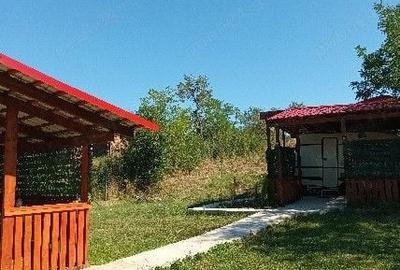 Casă cu 3 camere cu Teren 2697 Mp în Teș - 5