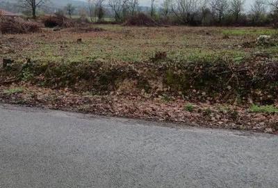 Teren de 2000 mp, în Unguraș - 3