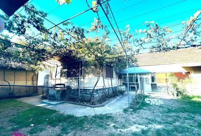 Casă cu 4 camere cu Teren 1712 Mp în Finiș - 3