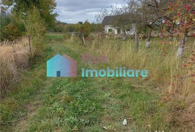 Casă cu 4 camere cu Teren 8450 Mp în Central - 4
