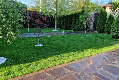 Casă cu 5 camere cu Teren 4000 Mp în Pantelimon - 11