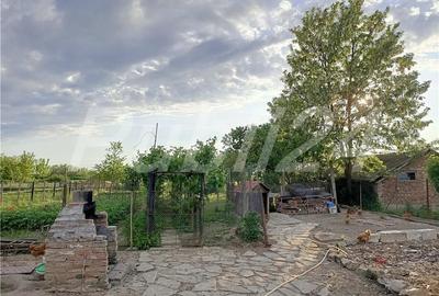 Casă cu 3 camere cu Teren 1000 Mp în Tămașda - 2