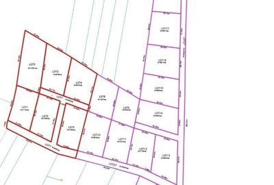 Teren Construcții intravilan de 715 mp, în Prundu Bârgăului - 1