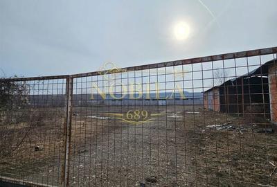 Teren de 57662 mp, în Căiuți - 6