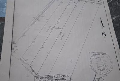 Teren de 2800 mp, în Târgușor - 3