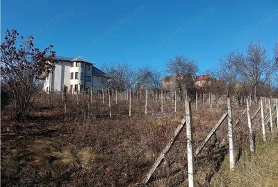 Rediu lac Viticultori vila S-P-E su-405mp t-1500mp - 2