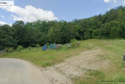 Vand parcele PADURE seculara stejar, N.Balcescu Valcea, la drum, conditii CABANA - 5