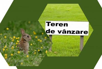 Teren de 18000 mp, în Vest - 6