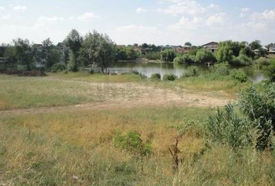 Teren Construcții intravilan de 7850 mp, în Snagov - 4