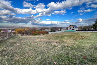 Teren Constructii - Voinesti - 1