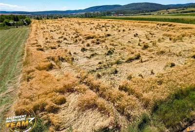 Teren de 2268 mp, în Valea Crișului - 2