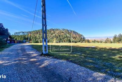 Spațiu comercial, în Poiana Angelescu - 19