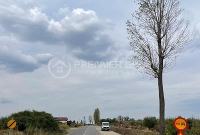 Teren agricol extravilan de 7000 mp, în Miroslava - 7