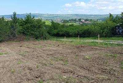 Teren de vânzare, 1079 m2(2parcele), Visan, jud.Iasi.Proprietar! - 5