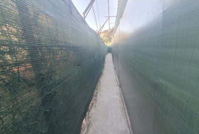 Vand apartament in casa boiereasca zona bisericii Madona Dudu - 8