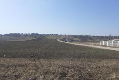 Teren de 900 mp, în Central