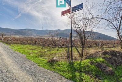 Casuță cu priveliște panoramică spre Cetatea Șiria - 52