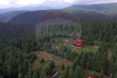 Casă individuală cu 4 camere cu Garaj în Beliș - 18