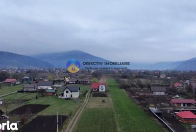 Teren de 1200 mp, în Alexandru cel Bun - 1