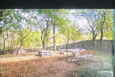 Casă cu 4 camere cu Teren 1800 Mp în Bârsoiu - 5