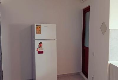 Garsonieră decomandată în Chitila - 13