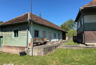 Casă cu 4 camere cu Teren 7247 Mp în Băița - 12