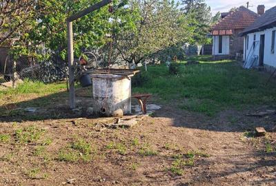 Casă cu 2 camere în Pleșoiu - 2