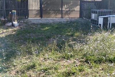 Casa batraneasca 20.000 euro - 3