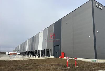 Depozit/hala/spatiu industrial Theodor Pallady - Cernica - - 5