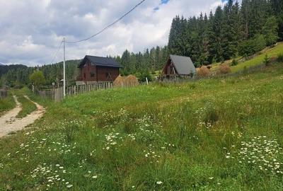 Teren de 2500 mp, în Valea Doftanei - 5