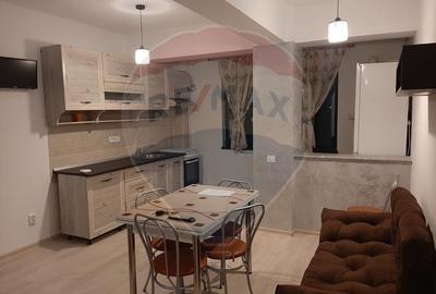 Apartament cu 2 camere de vanzare in zona Bariera Valcii Apartament cu 2 camere de vanzare in zona Bariera Valcii - 3