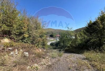 Teren de 702 mp, în Buru - 8