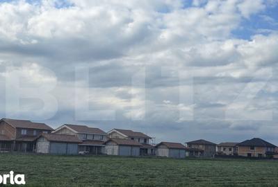 Teren de 40000 mp, în Plopi - 1