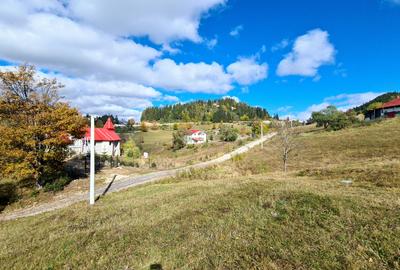 TEREN INTRAVILAN-EXTRAVILAN SPECTACULOS LANGA RESORTUL CHEILE GRADISTEI -FUNDATA - 6