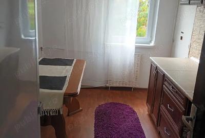 Apartament cu 2 camere decomandat în Craiovița Nouă - 6