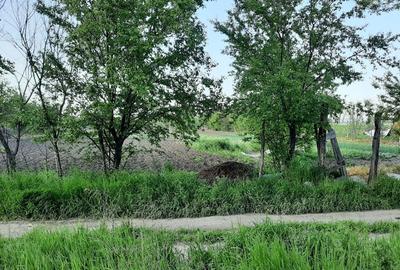 Teren de 4000 mp, în Măgureni - 5