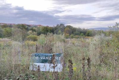 Teren de 1900 mp, în Borhanci