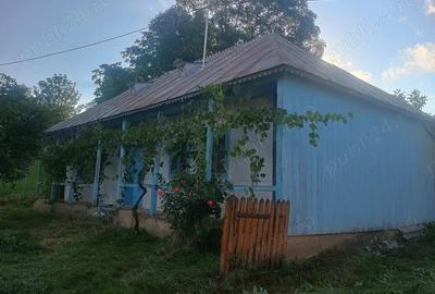 Vand casa plus gradina