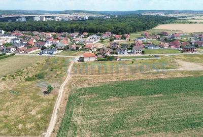 Gaminvest Teren intravilan, dublu front stradal, Sanmartin, Bihor, V4237C - 3