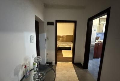 Apartament cu 2 camere decomandat, mobilat în Theodor Pallady - 7
