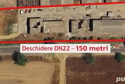 Teren 5000 mp DN22 cu cladiri 800mp + platforma betonata 2700 mp - 1