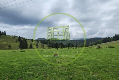 Parcele de vis in munti – Zona Arka Park, cu drum de acces si PUZ aprobat - 14