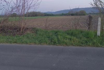 Teren de 5700 mp, în Reea - 3